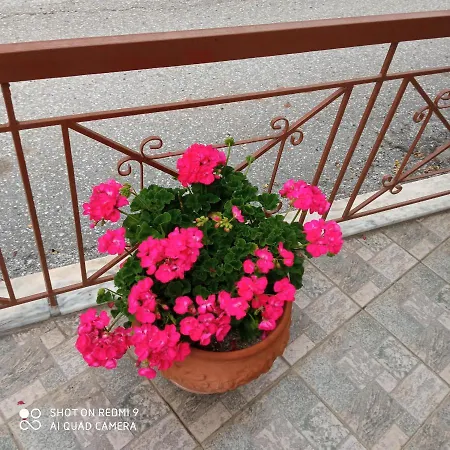 ゲストハウス Sakis. Órma