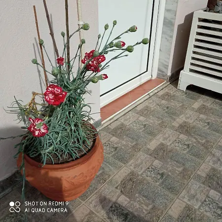 Sakis. بيت ضيافة Órma