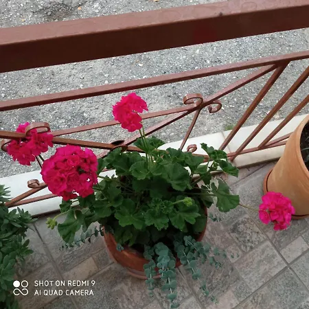 Sakis. بيت ضيافة