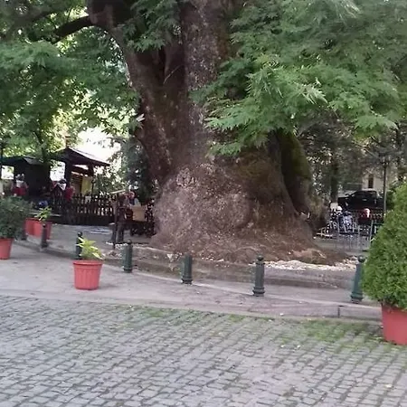 بيت ضيافة Sakis.