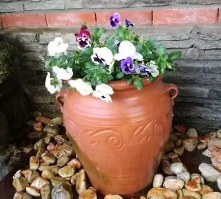 Sakis. ゲストハウス 3*