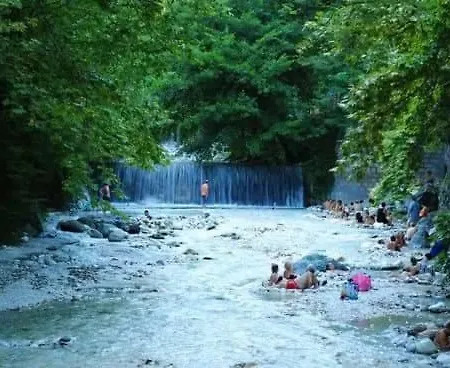 Sakis.