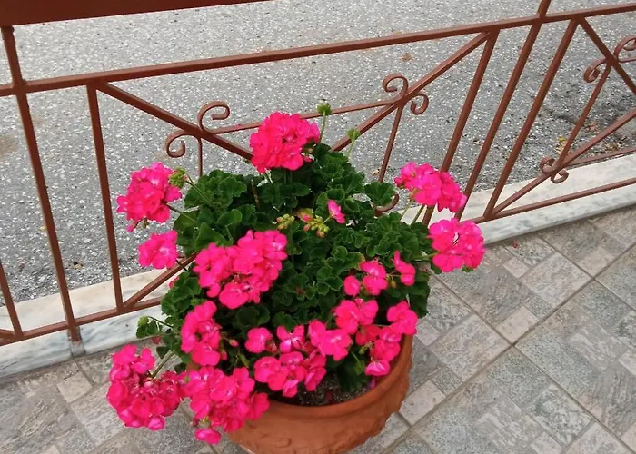 Konukevi Sakis. Órma