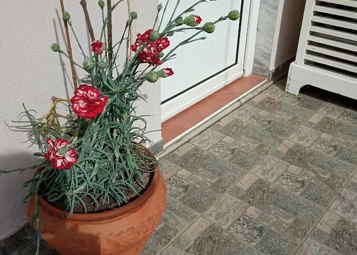 Sakis. Konukevi Órma