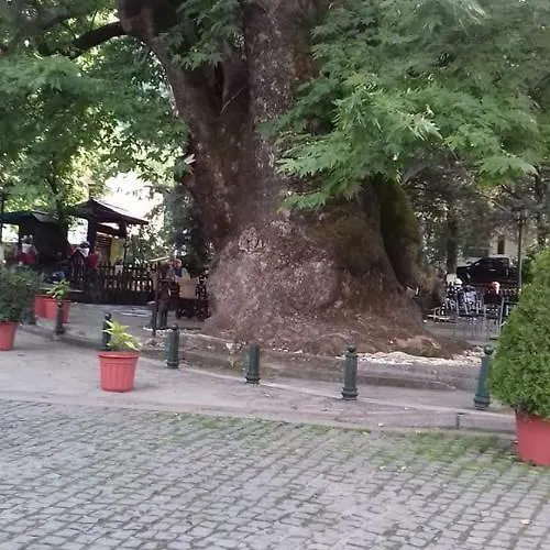 Pensjonat Sakis.