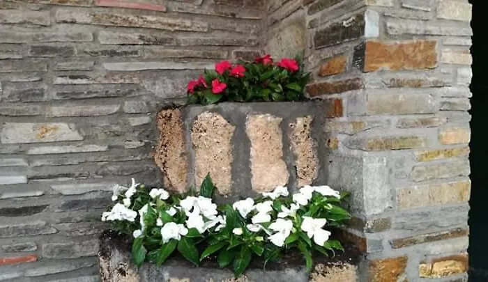 Sakis. Konukevi Órma