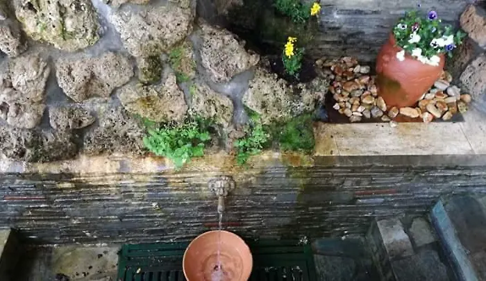 Konukevi Sakis. Órma